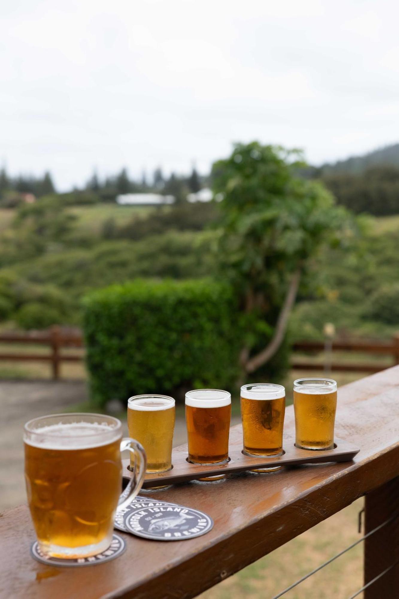 Отель Castaway Norfolk Island Бернт-Пайн Экстерьер фото